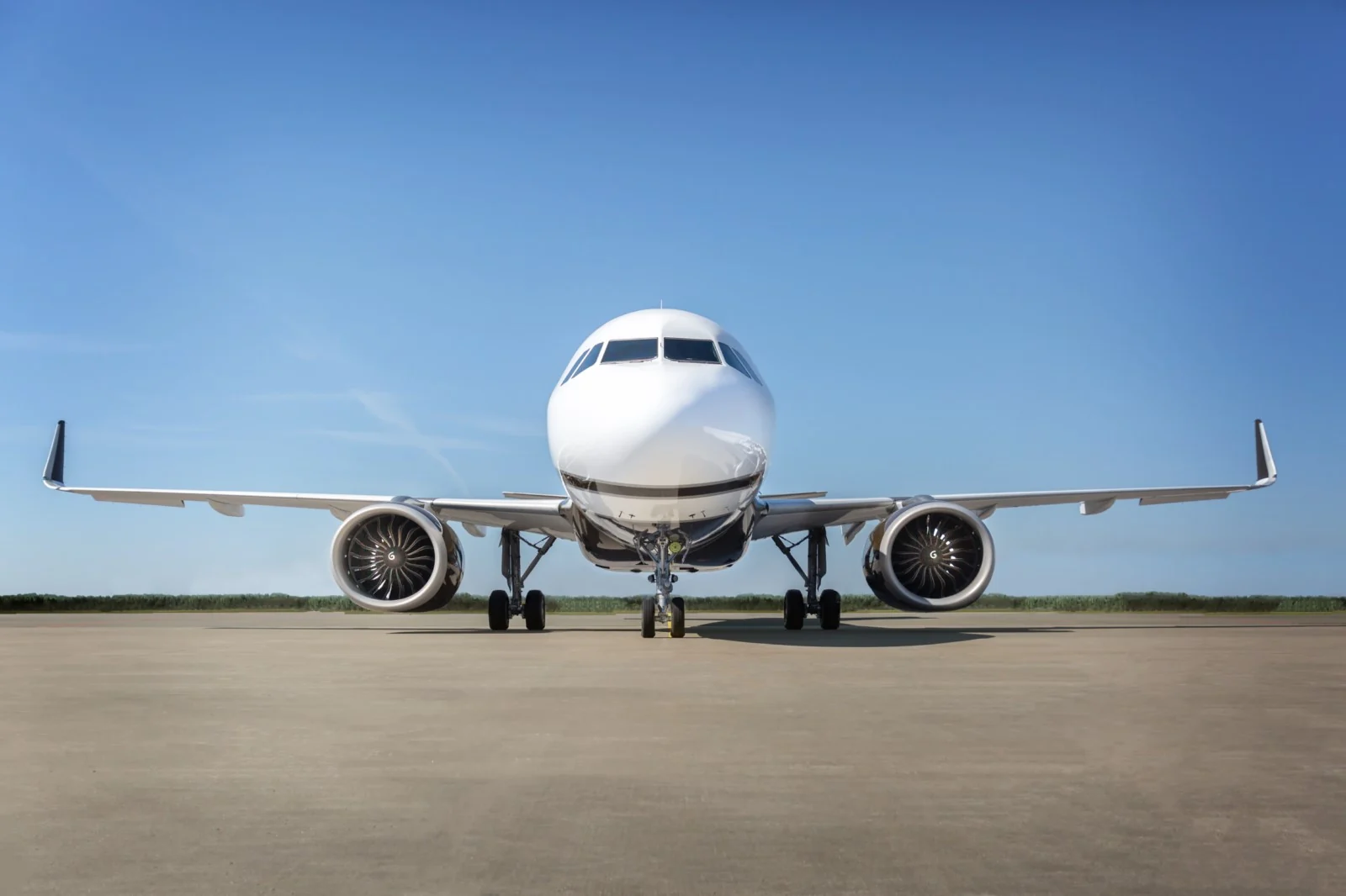 ACJ 319 neo — tashqi