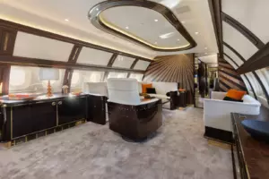 ACJ 319 neo — salon