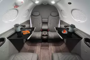 Citation Mustang — salon