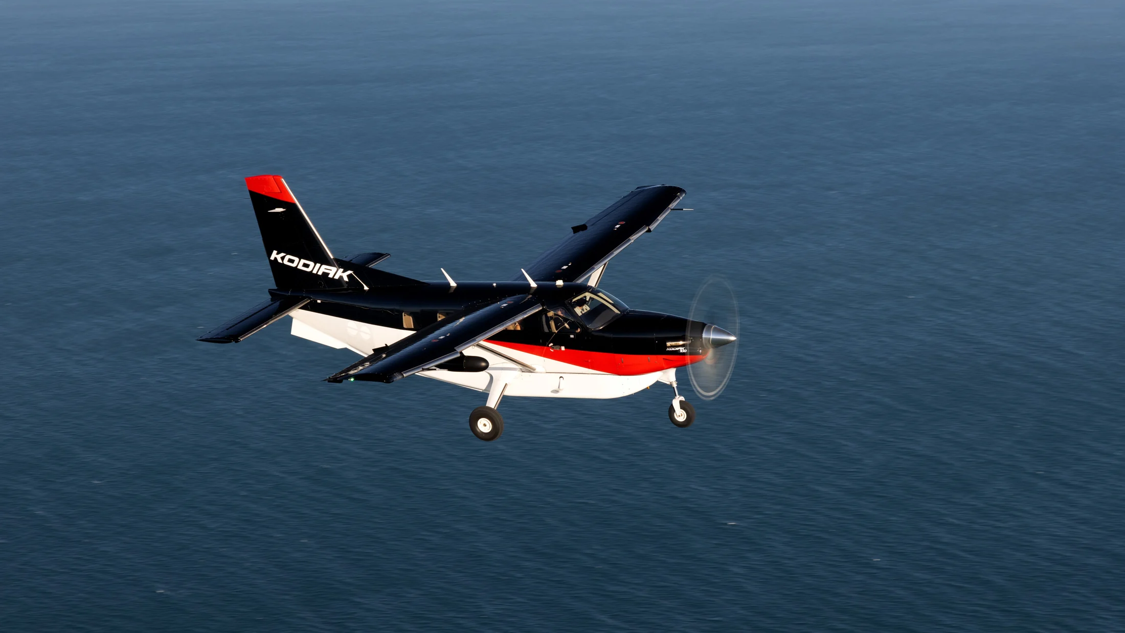 Kodiak 100 Exterior