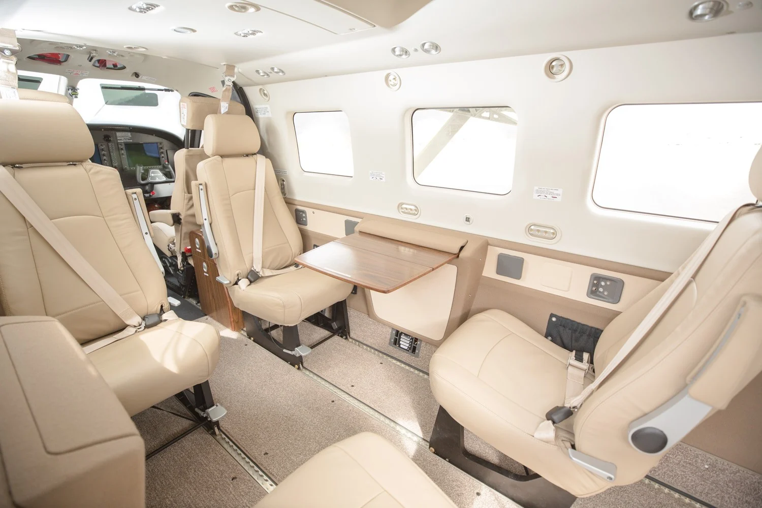 Kodiak 100 - interior