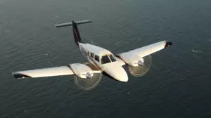 Piper Seminole — экстерьер