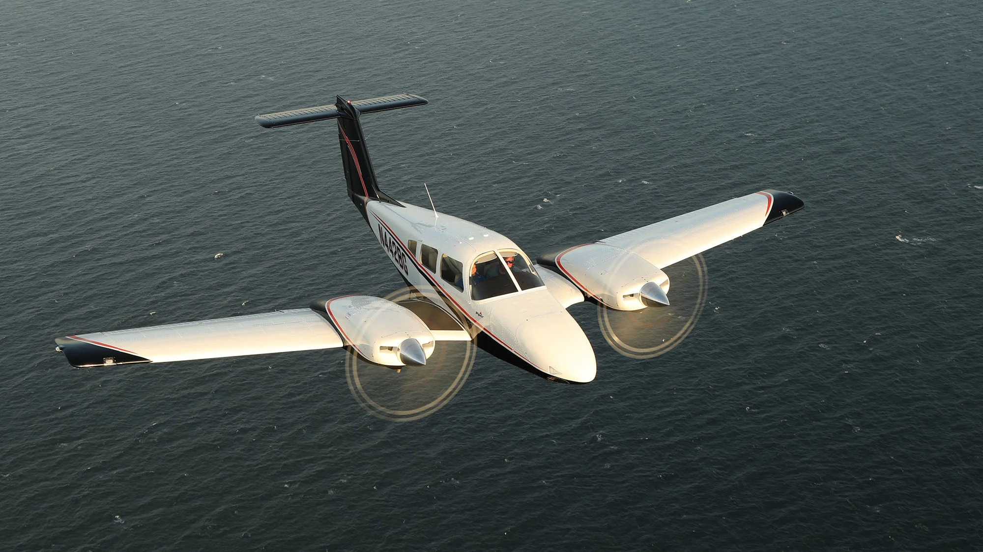 Piper Seminole — экстерьер